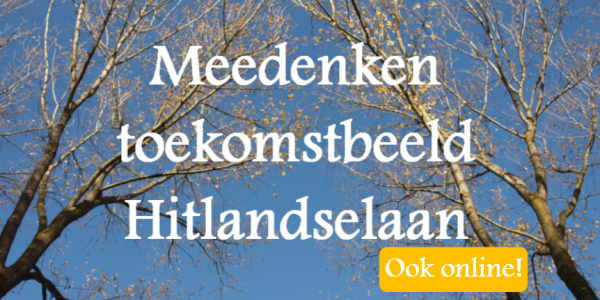 Meedenken over Hitlandselaan kan ook online