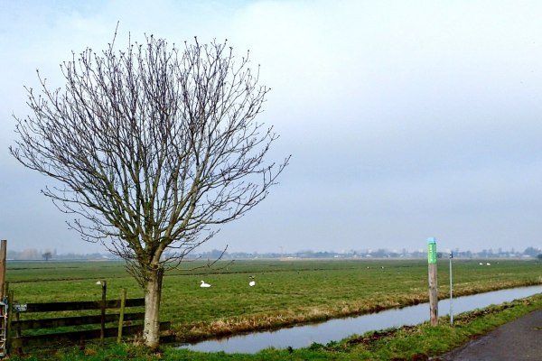 Natuurexcursie Hitland-Zuid door IVN