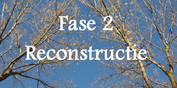 Start Fase 2 reconstructie Hitlandselaan 12 augustus