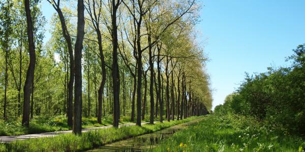 Dagelijks Bestuur presenteert beoogd toekomstbeeld Hitlandselaan