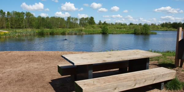 Oproep aan hondenbezitters: Let op de natuur