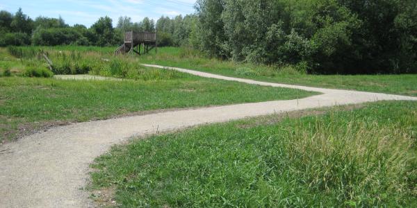 Werkzaamheden in Park Hitland