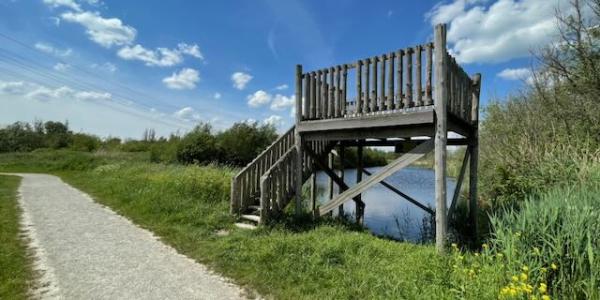 Let op: blauwalg in Park Hitland