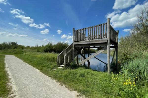 Let op: blauwalg in Park Hitland