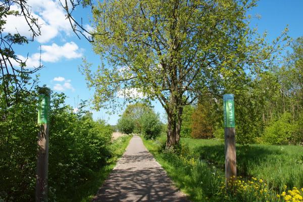 Let op: Kans op blauwalg