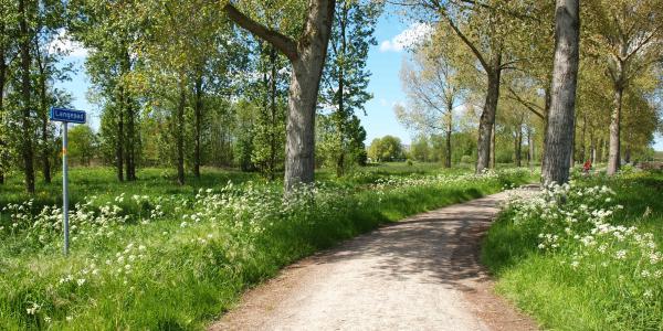 Maaien in Park Hitland