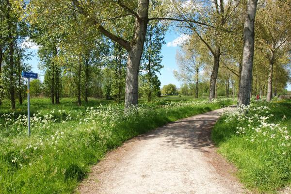 Maaien in Park Hitland