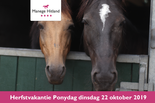 Ponydag in de herstvakantie bij Manege Hitland