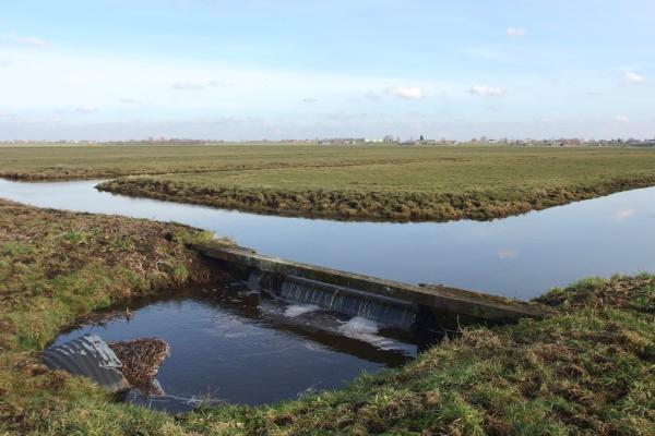 Wandeling met Natuurgidsen van IVN Natuureducatie