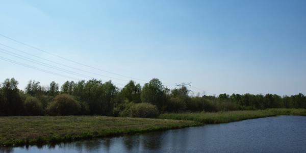 Een bever in Park Hitland?