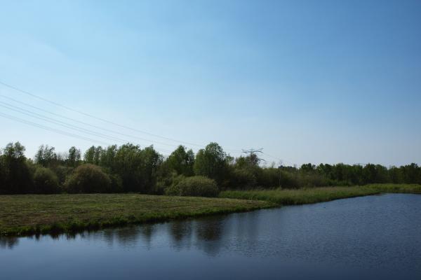 Een bever in Park Hitland?