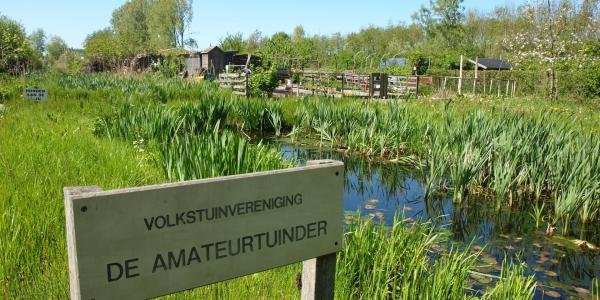 Volkstuinvereniging De Amateur Tuinder bestaat 40 jaar!